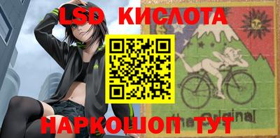 прущие крисы Камышлов