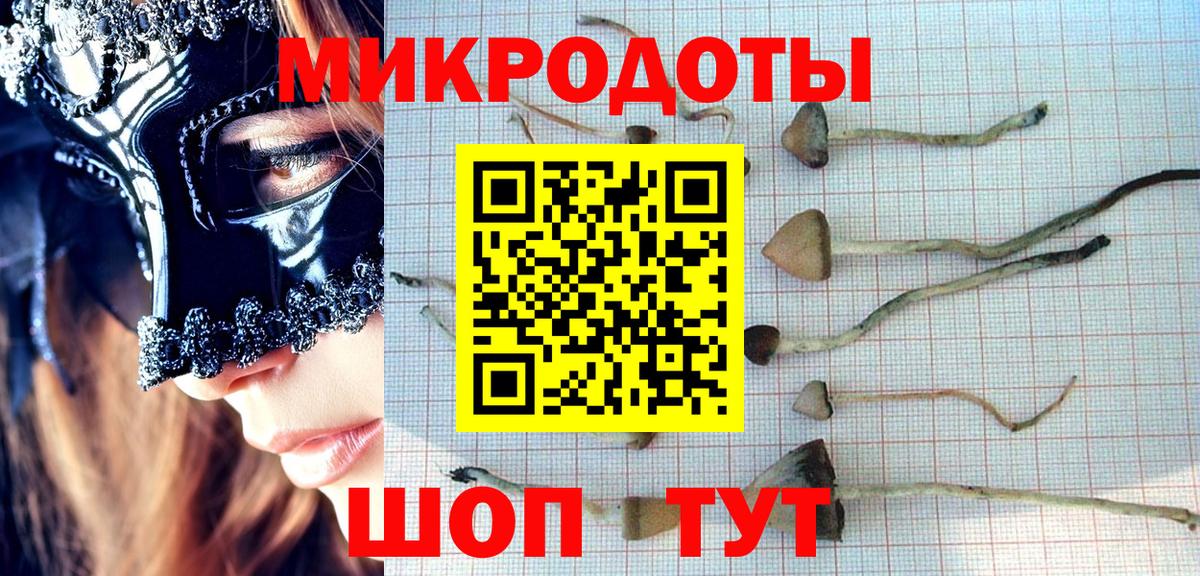 Псилоцибиновые грибы GOLDEN TEACHER  Галлюциногенные грибы Magic Shrooms  наркошоп  Вход с VPN  Красноуфимск 